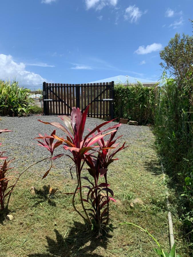 Gite Face A La Mer Des Caraibes Sainte-Rose Exteriér fotografie